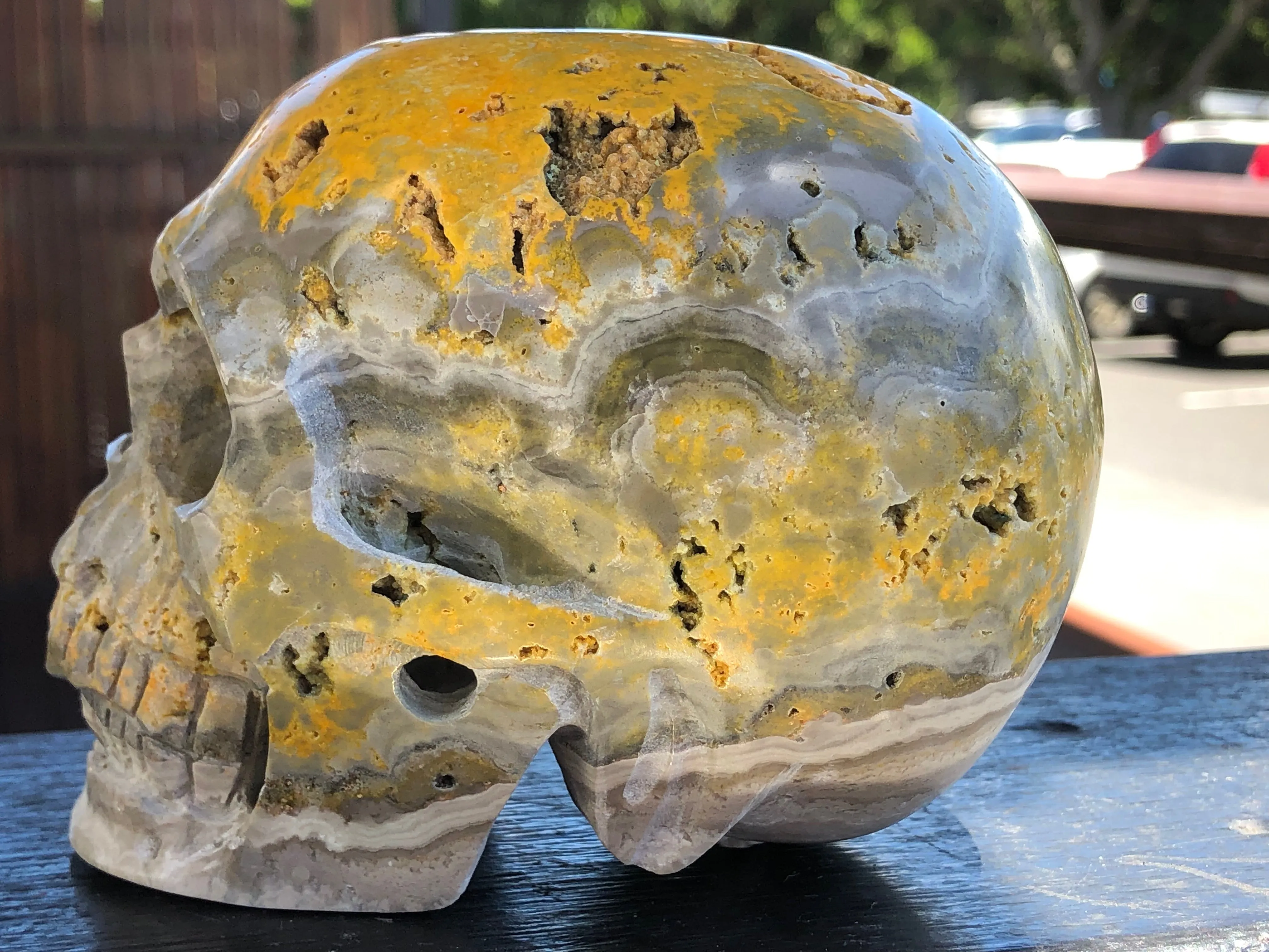 Bumble Bee (Eclipse) Jasper Skull [1k1139]